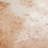 True 7.75" x 7.75" Ceramic Patterned Wall & Floor Tile
