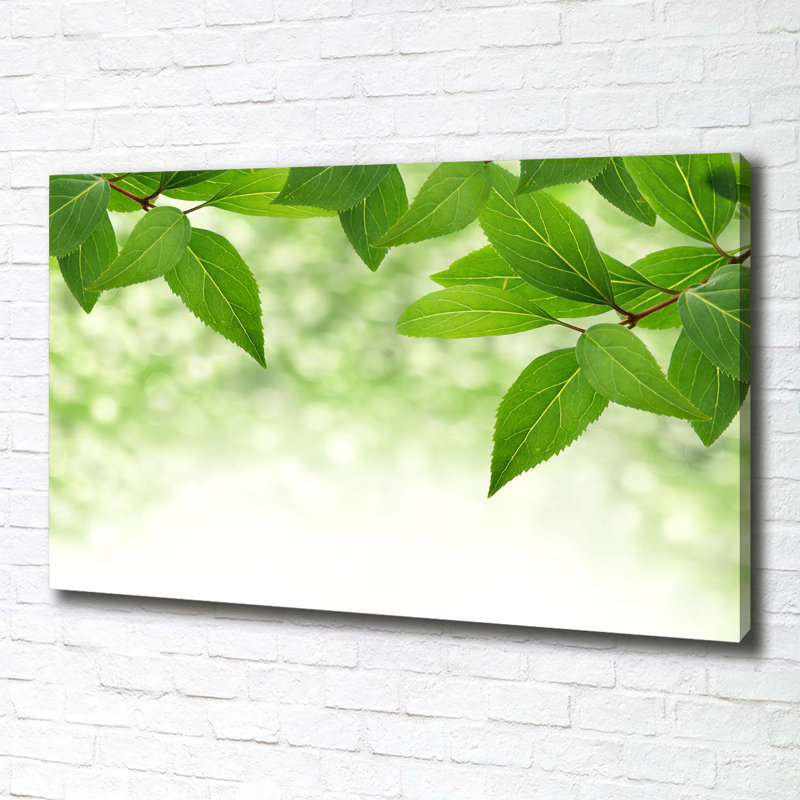 Green Leaves - Wrapped Canvas Print