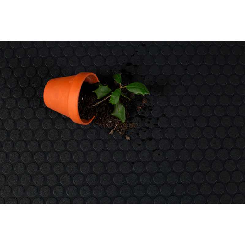 Petite pièce de monnaie x 10 pi Rouleau de plancher pour remise, Noir, H 0,8 po x l 96 po x P 96 po