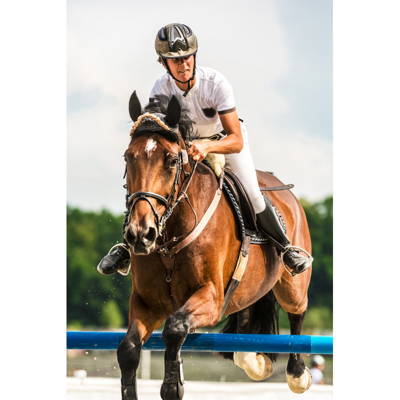 Show jumping, 76cm H x 51cm W