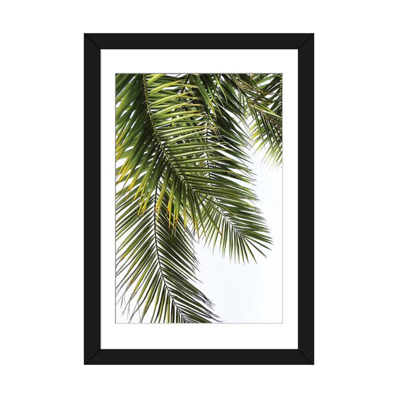 «Palm Leaves», impression sur toile, Toile encadrée noire, H 24 po x l 16 po x P 1 po