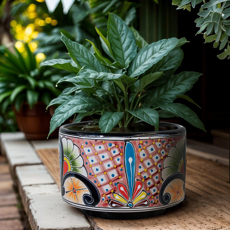 "wheel Cheese" Planter- Orange 