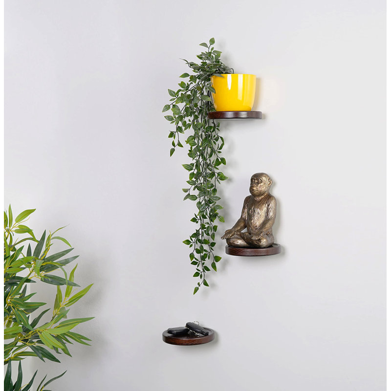 Burrowsville 3 Piece Floating Shelf, Dark Brown