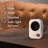 Lasko 3000 BTU Electric Compact Space Heater