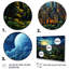 «Masterry Toronto The Starry II» sur toile-1270052780-1270052772