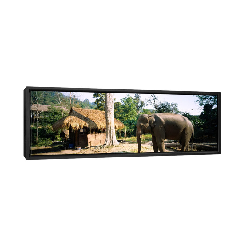 Reproduction de photo sur toile, H 12 po x l 36 po x P 1,5 po, Cadre noir