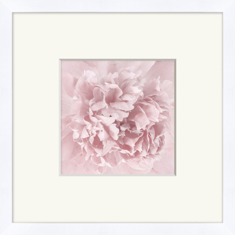 Blush Print by Lillian August