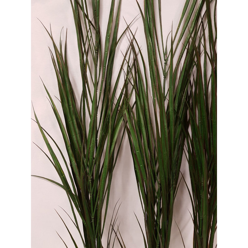 Herbe, 60" H x 24" W x 24" D