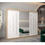 Arryonna 2 Door Manufactured Wood Wardrobe-2017506525