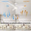 Alcia 52'' Ceiling Fan with LED Lights-2007738425