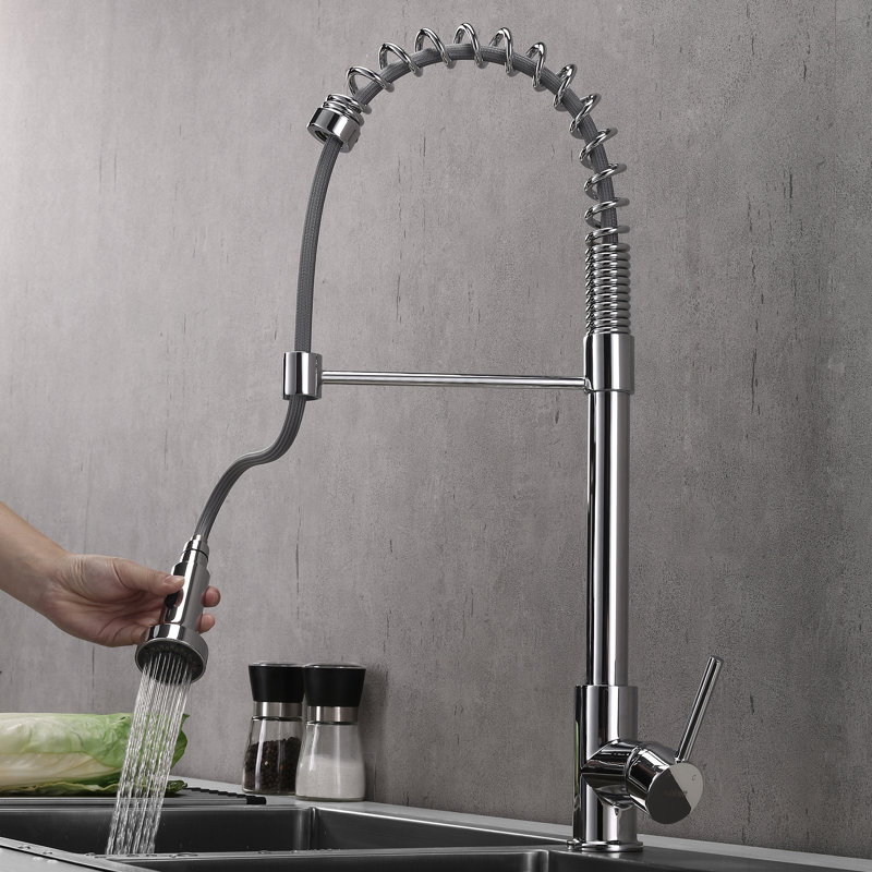Belfry Kitchen Fresnel Pull Down Kitchen Faucet