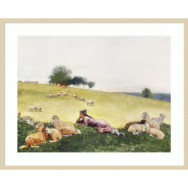 "Homers Sheep Countryside II" par Wood, reproduction d'art encadrée, H 33 po x l 41 po