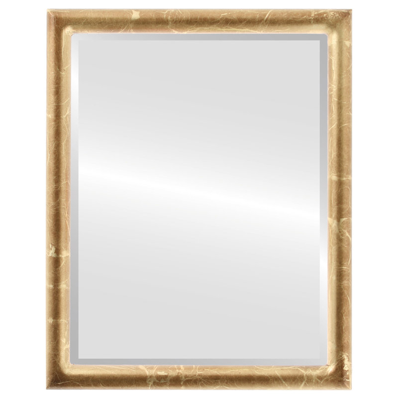 Rowles Rectangle Mirror, Champagne Gold, 25.375" x 19.375"