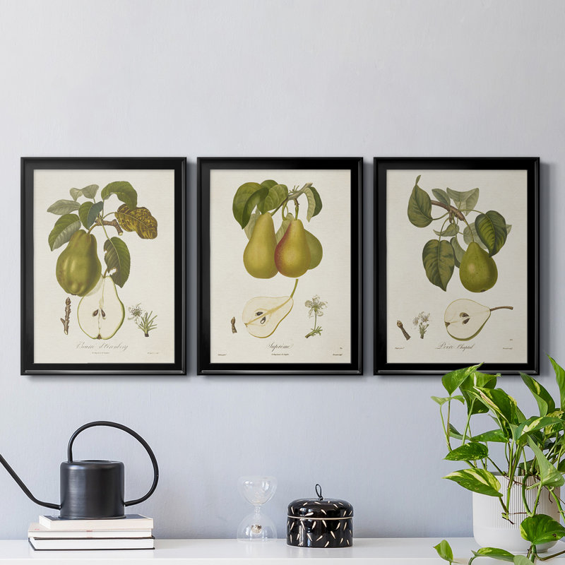 Vintage Pears IV, reproduction encadrée de qualité supérieure - prête à être accrochée, Cadre noir, Pas de tapis