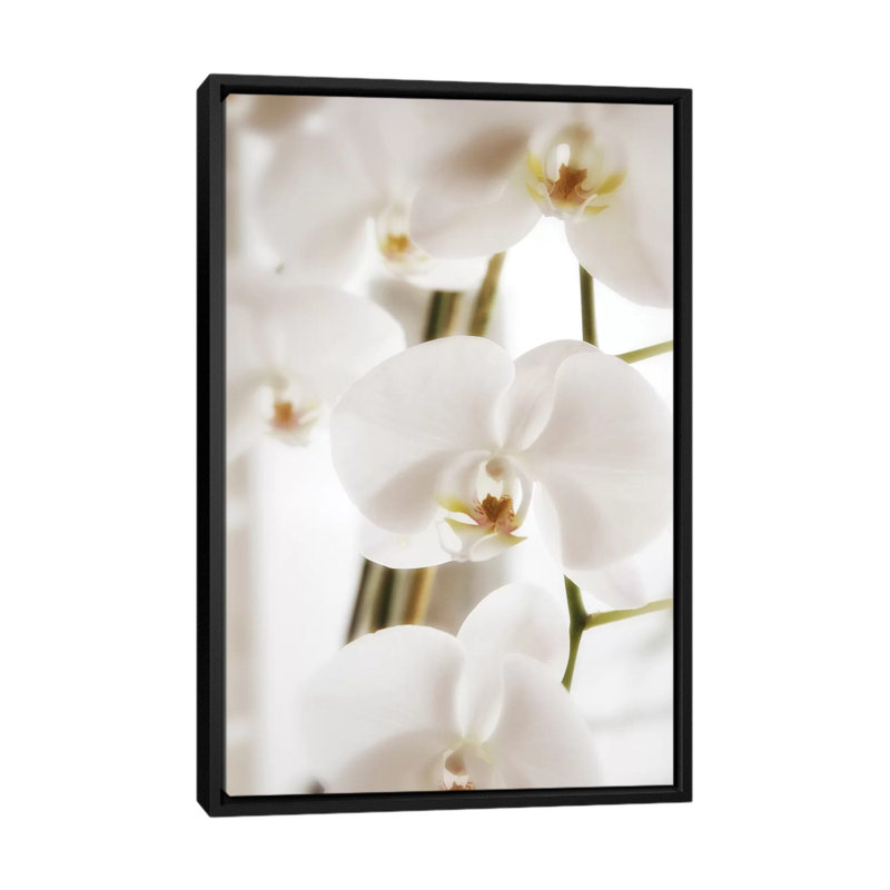 « orchidées orchidées », reproduction de photo sur toile, H 26 po x l 18 po x P 1,5 po, Toile avec cadre noir, Pas de tapis