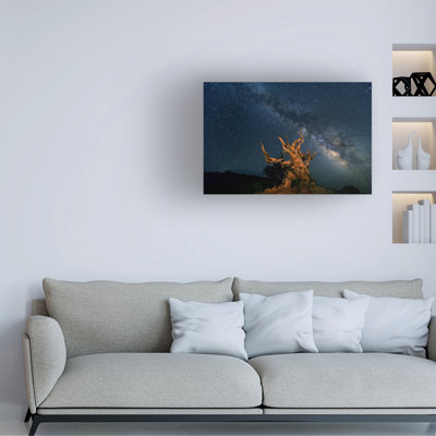 Bolog Hua Zhu The Galaxy And Ancient Bristlecone Pine Canvas Art
