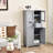 Artavian Accent Cabinet