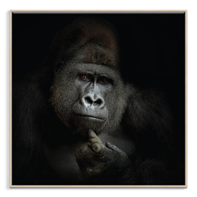 Print on Canvas, Timber, 76cm H x 76cm W