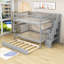 Lit superposé double au-dessus de double avec lit gigogne Darric par Harriet Bee-90400034