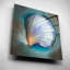 «Clam Shell Glow» par Louise Montillio-226816335