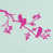 Rose vif