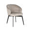 Amphara Upholstered Arm Chair-1479879275