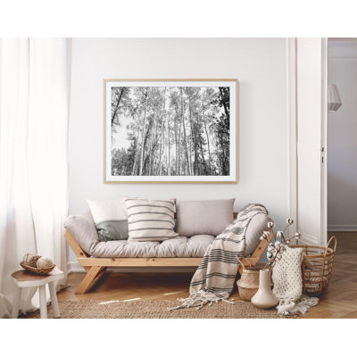 Art mural grand noir et blanc avec tremble, esthétique naturelle surdimensionnée de la forêt du Colorado