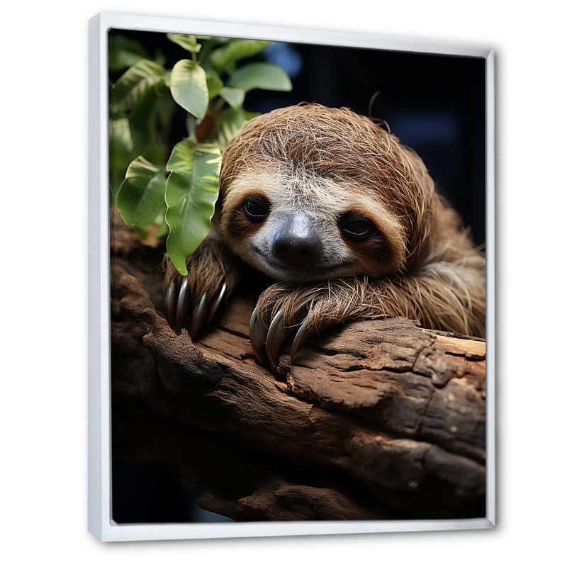 Rustic Repose Sloth sur toile, H 32 po x l 16 po x P 1 po, Cadre flottant blanc