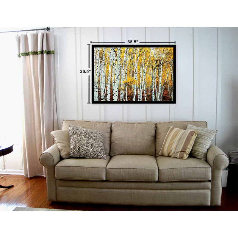 " Aspen Grove Birch Trees Forrest "