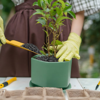 Charbon horticole de 3 pintes pour plantes, amendement de sol à base de charbon de bois pour le rempotage de plantes d'intérieur, le jardinage, les paphiopedilums, les bonsaïs, les terrariums et les plantes succulentes.