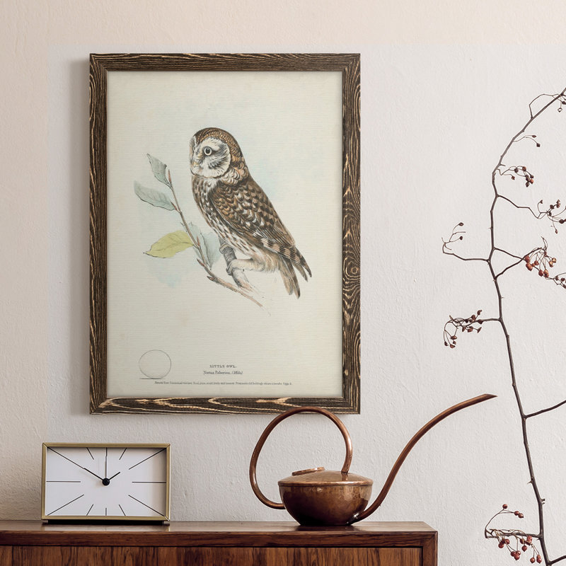 Petite chouette, toile encadrée de qualité supérieure - prête à être accrochée, Noyer, H 32 po x l 23 po x P 1 po