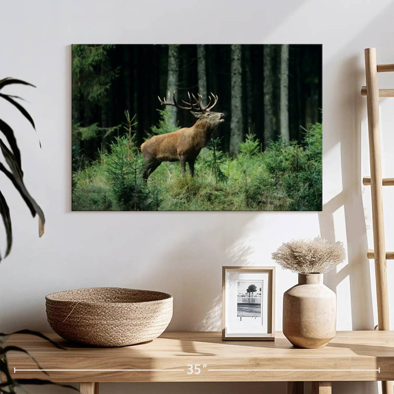 Crowle Elk Bugle, 16" H x 24" W