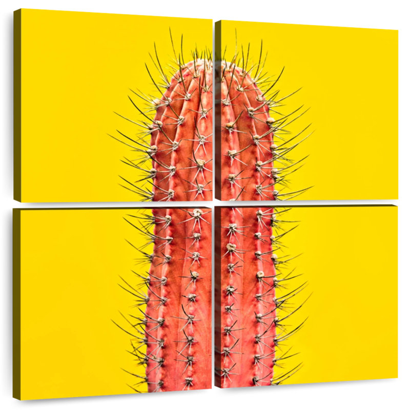 Cactus orange Harnek, H 26 po x l 26 po