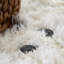 Bucci Hand Woven Area Rug-863499992