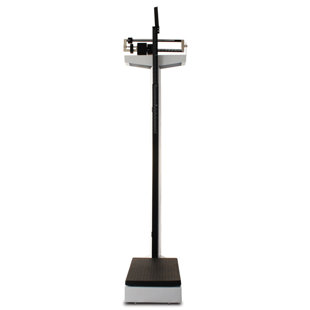 VELAB General Scale