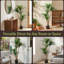 Pure Garden 51" Tropical Yucca Artificial Tree - Faux Plants Indoor and Outdoor Use with Natural Trunk and Planter