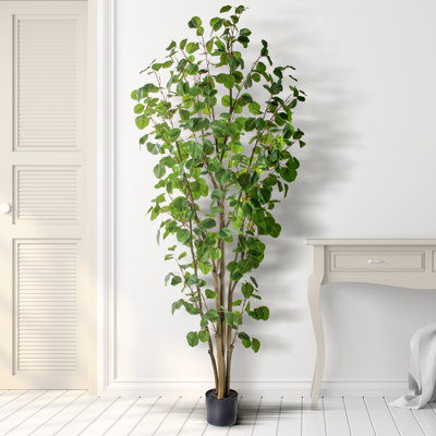 Faux Eucalyptus Tree in Pot