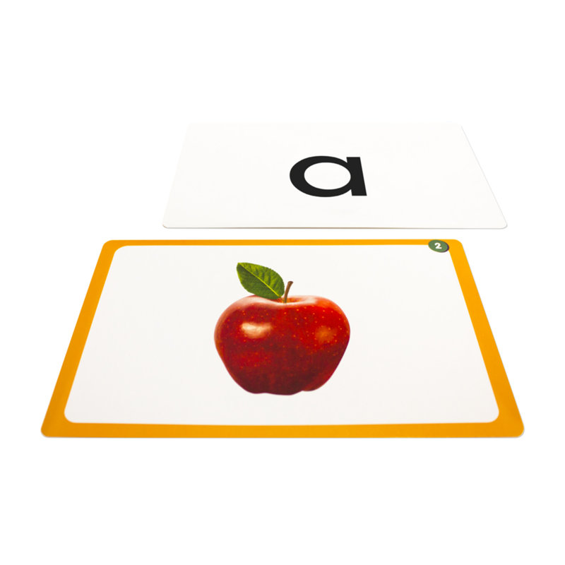 Flash Cards
