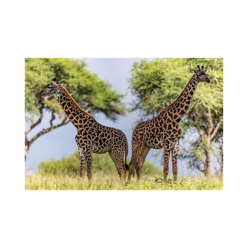 Twins by Anders Jorulf - Wrapped Canvas Gallery-Wrapped Canvas Giclée, 20.32cm H x 30.48cm W