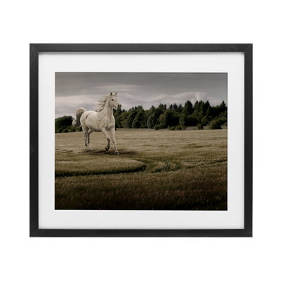 Galloping Through Field Horse Framed Print Under Glass, design by Marcus Prime