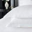 Gianna Cotton Pillow Sham-40207088-40207091
