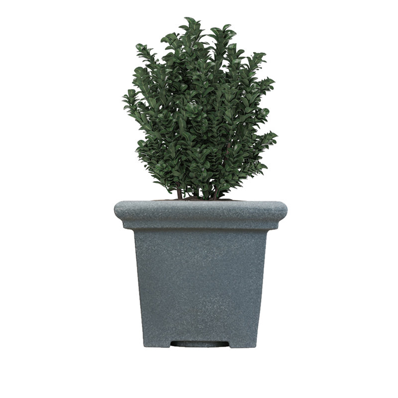 Donaho Pot Planter (Set of 2), Granite