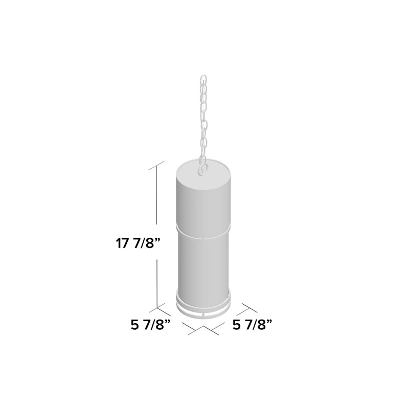 Lanterne suspendue d'extérieur 1 lumière H 17,88 po Baniya, Noir