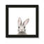 Art encadré en lapins forestières-48188934-48188939