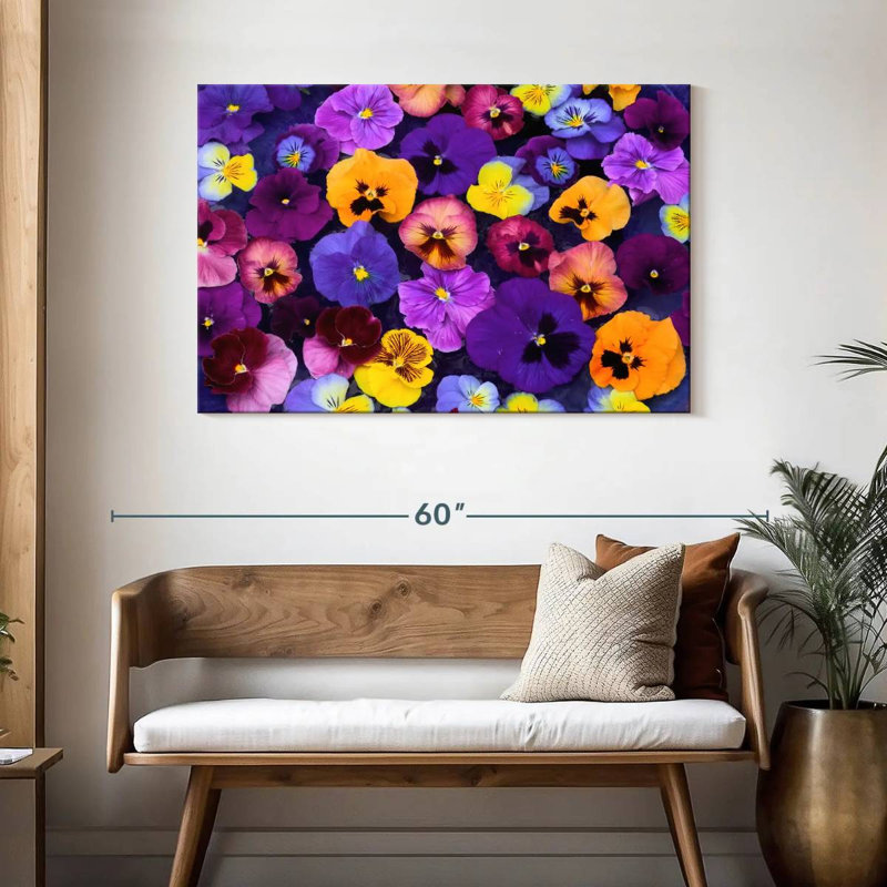 Couleurs Harnek Pansy, H 30 po x l 45 po