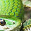 Print on Canvas-23990740