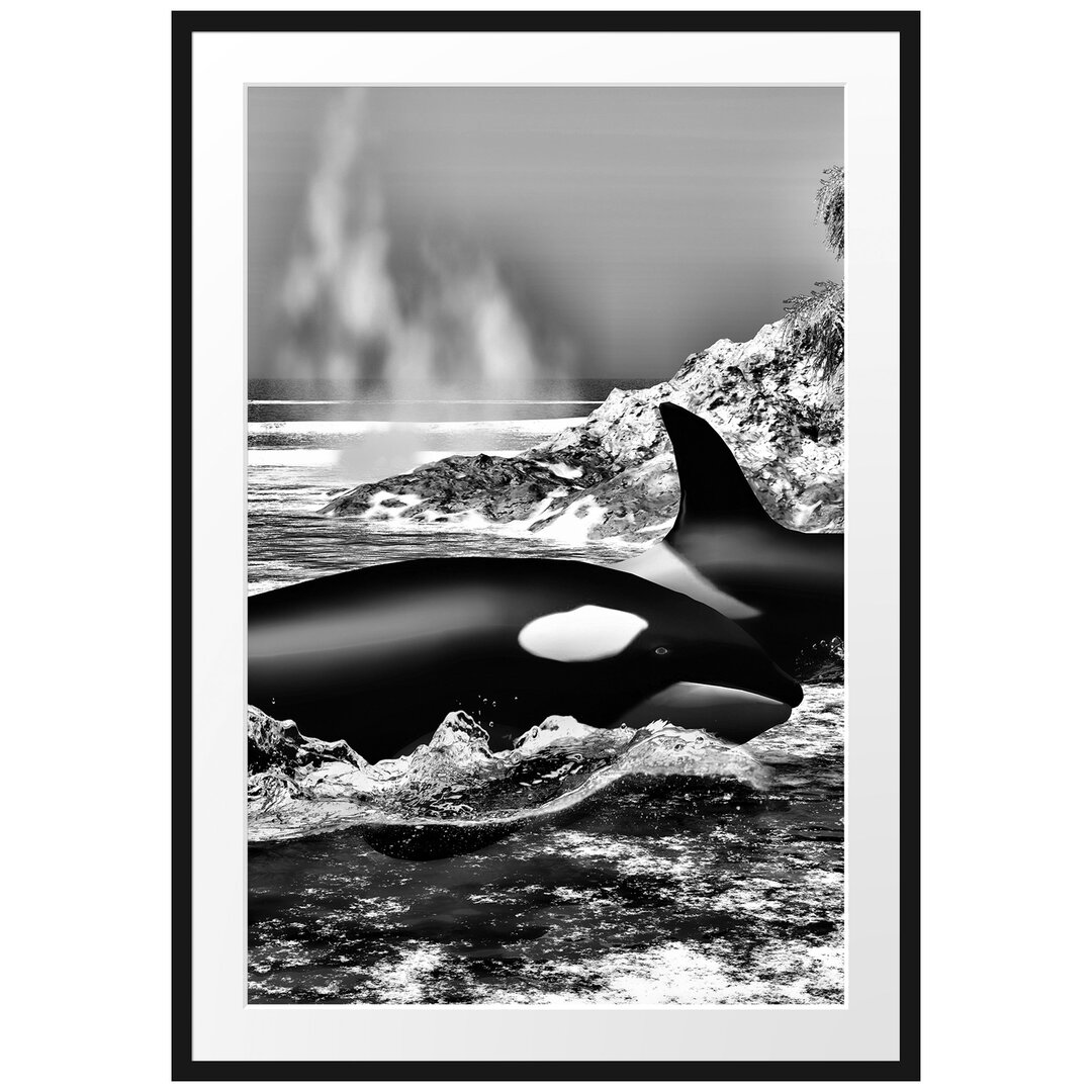 Gerahmtes Poster Orcas nahe einer Insel