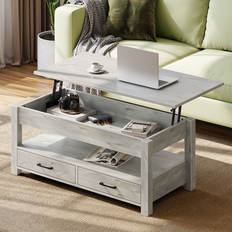 Table basse avec rangement, table basse à plateau relevable pour le salon, Gris, H 18,2 po x l 39,4 po x P 19,7 po