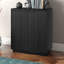 Alasha 28" Wide Rectangular Fluted Accent Cabinet-707244243