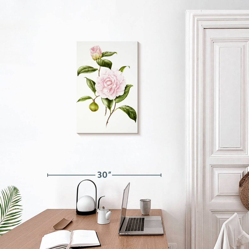 Fleur Harnek, H 24 po x l 16 po